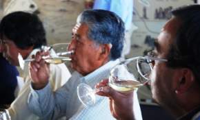 Entretenida cata de vinos producidos por agricultores de Toconao