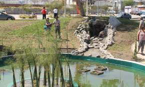 [Fotos]Parque Japones fue reinaugurado y mostró su nueva cara a la comunidad en Antofagasta