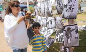 Exitosa  versión de “Feria de Mascotas” en Antofagasta