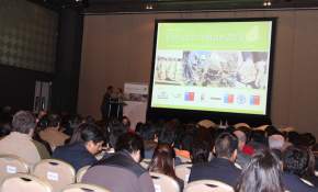 Desierto Verde 2013: Cultivos y energía en el Norte de Chile
